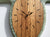 Plankton Wall Clock